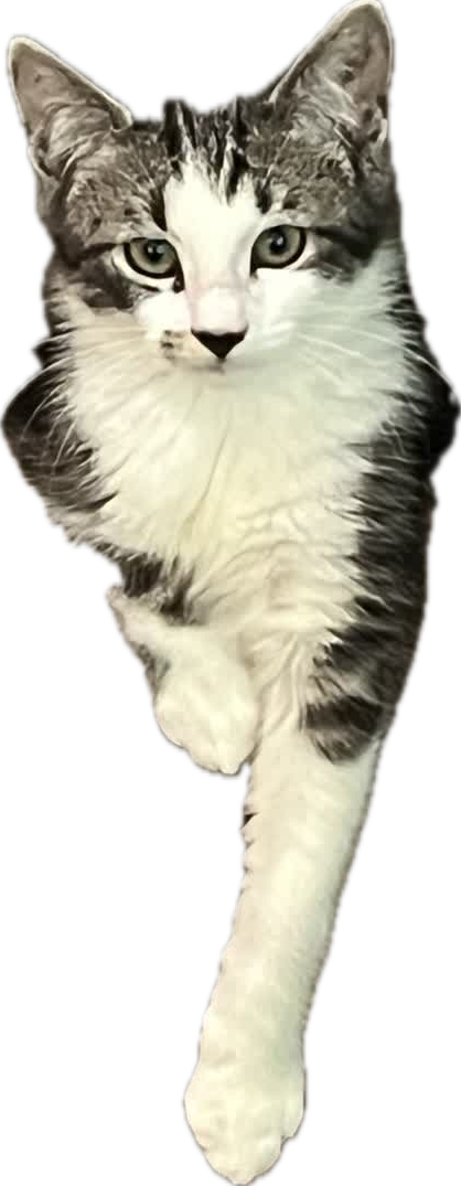Smudge