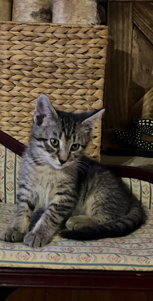 Photo 3 of Gabby - Complimentary posting