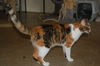 Amy