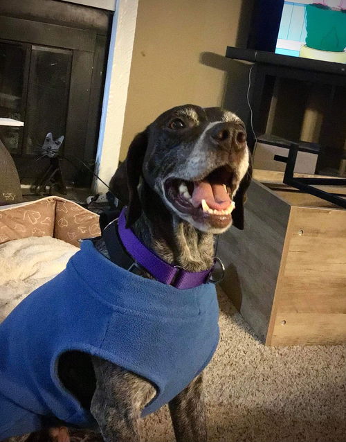 Lulu