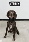 Vertex - Foster Needed!