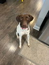 Remington