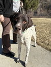 Tucker - Coming Soon!
