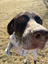 Tucker - Coming Soon!