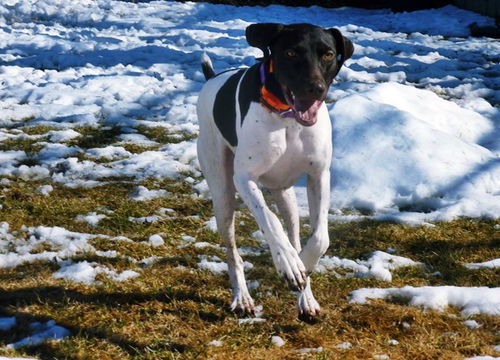 Lucy