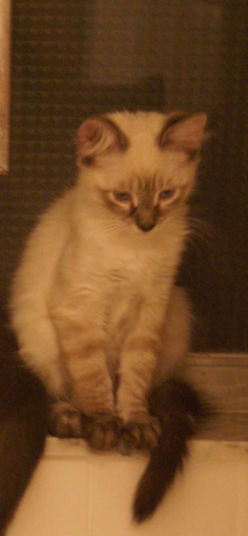 Luna