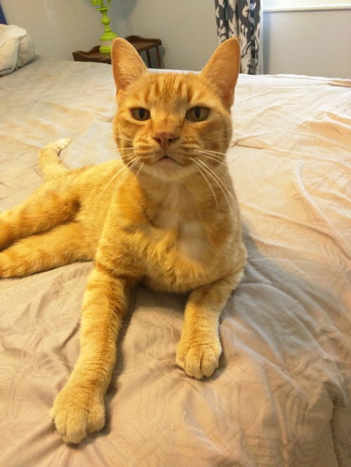Milo