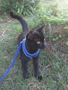 Murphy
