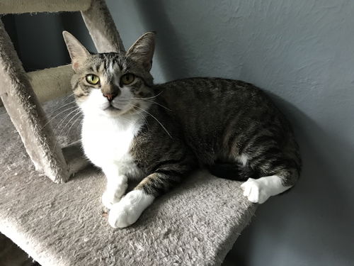 Sammie