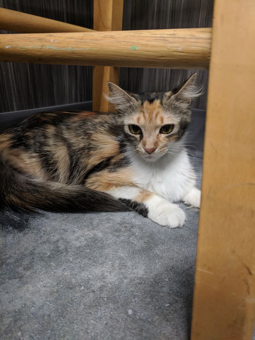 Catelyn