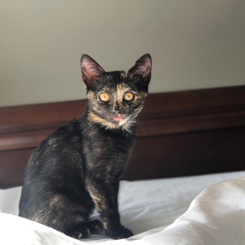 Minnie