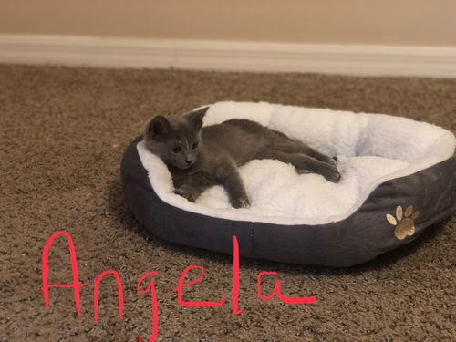 Angela