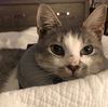 Peter