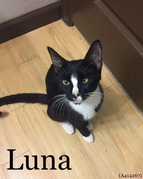 Luna