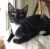 Lucie