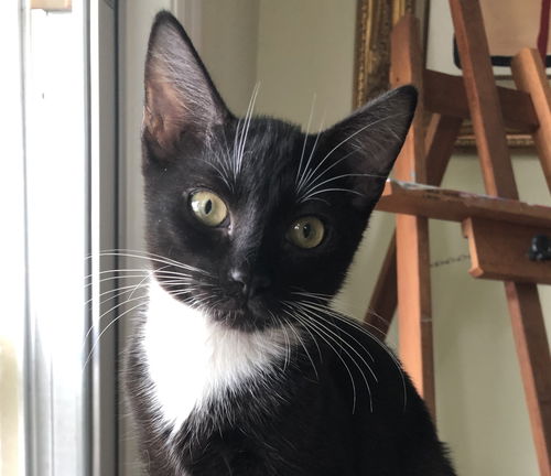 Lucie