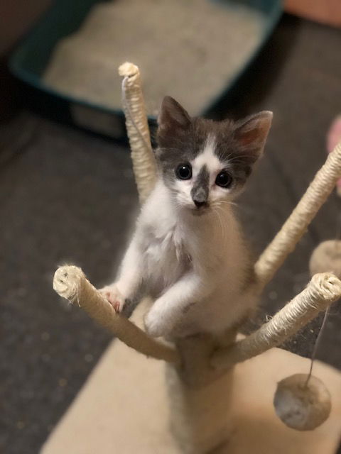 Matilda