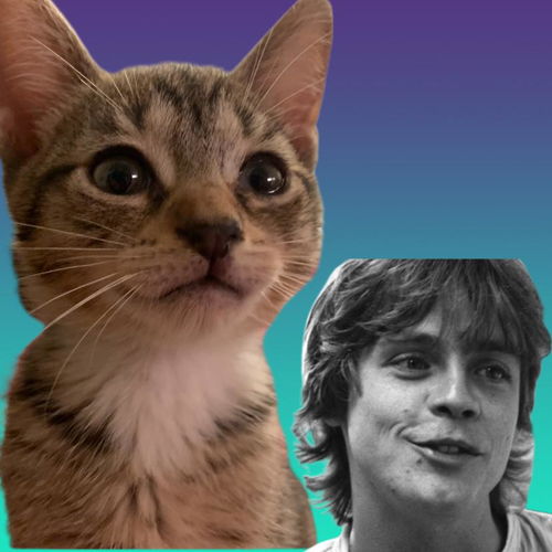 Luke Skywalker