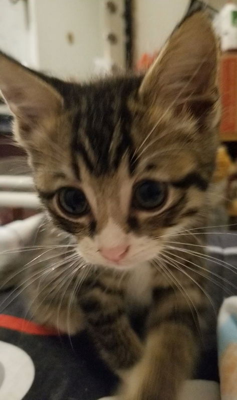Luna