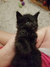 Lucy