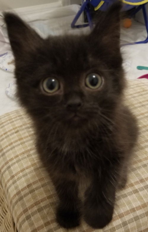 Lucy