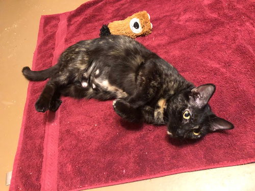 Fiona