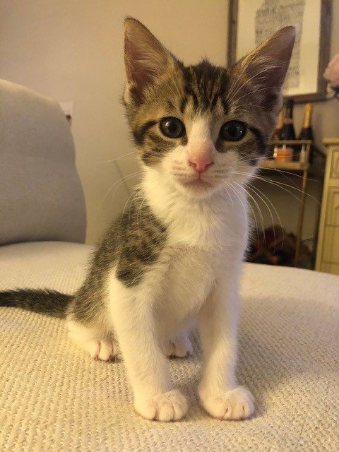 Murphy