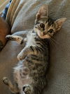 Lucy