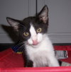 Cosby (aka Mutter!)