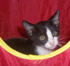 Cosby (aka Mutter!)