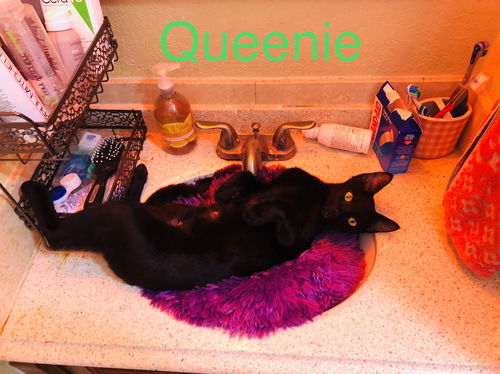 Queenie