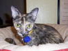 Phoenix (aka Fun Mama!)