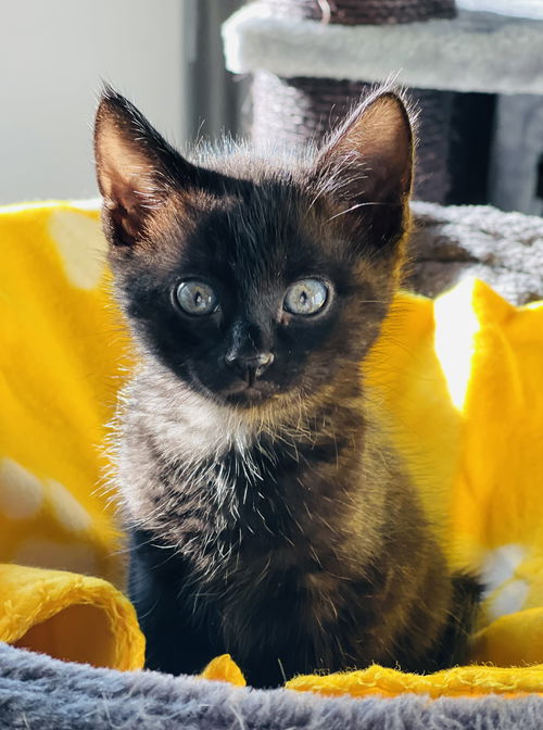 Milo
