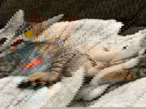 Winnie