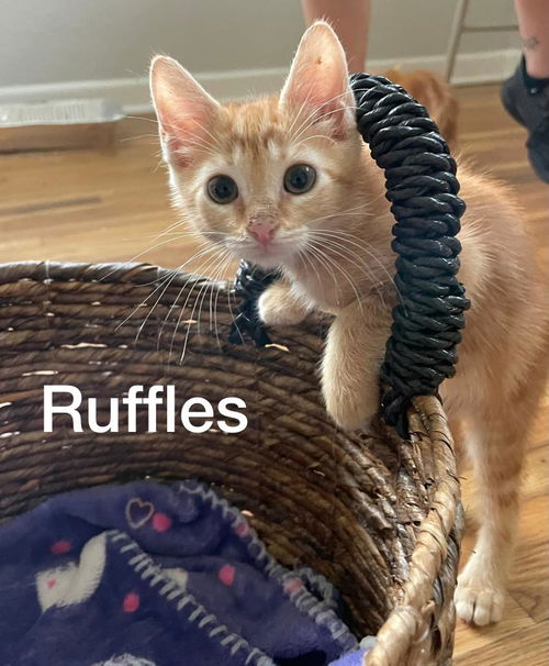 Ruffles