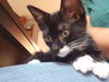 Millie