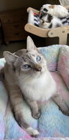 Astrid