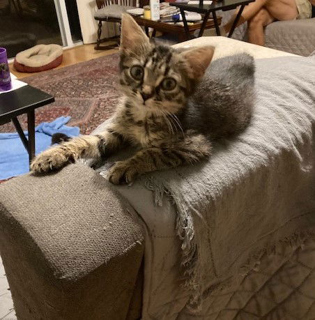 Mimi