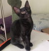 Lucy