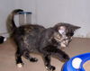 Miley (aka Adventure!)