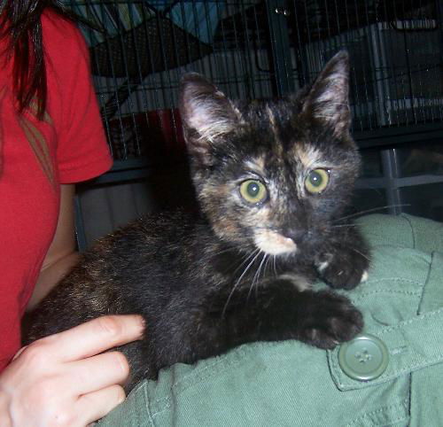 Miley (aka Adventure!)