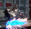 Miley (aka Adventure!)