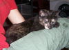 Miley (aka Adventure!)