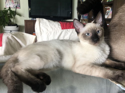 Luna