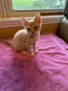 Sonny