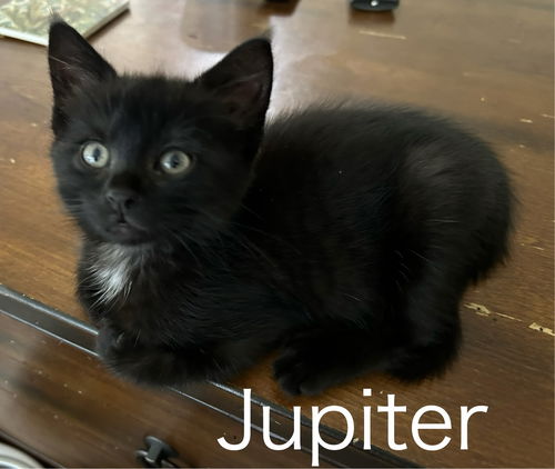 Jupiter