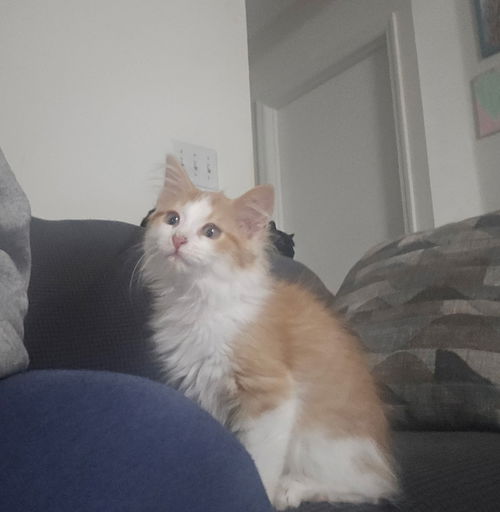 Murdock