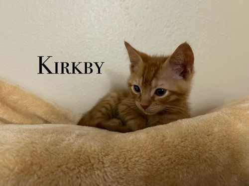 Kirkby