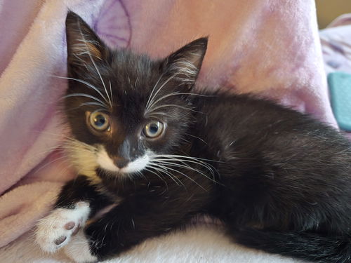 Minnie