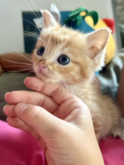 Milo